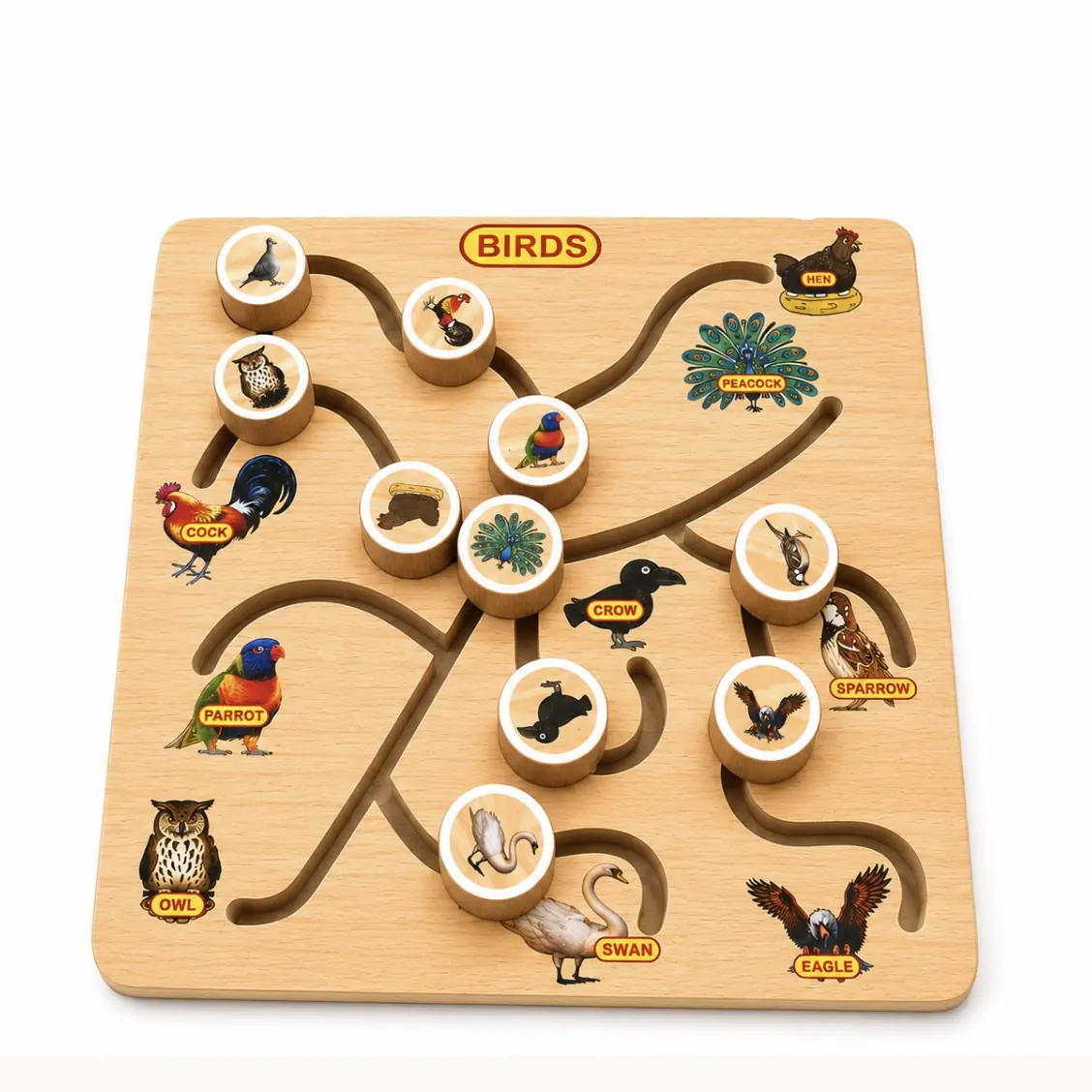 Birds Maze Puzzle